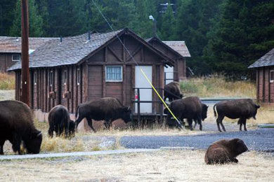 Lake Lodge Exterior photo